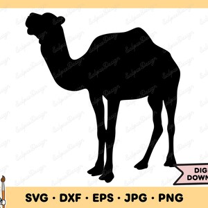 Camel SVG Desert Clip Art Camel Cut File Camel Silhouette Instant Digital Download