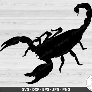 Scorpion SVG Clip Art Cut File Silhouette Instant Digital Download