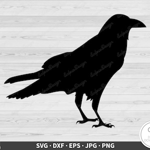 Rabe SVG Ominous Dark Bird Clip Art Cut File Silhouette Sofortiger digitaler Download dxf eps png jpg