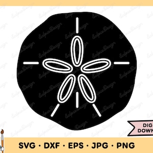 Sand Dollar Ocean Beach SVG Clipart PNG (Instant Digital Download)