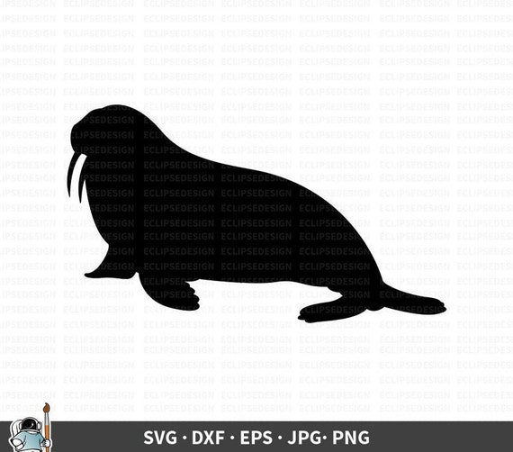 Download Walrus Svg Walrus Art Walrus Clipart Walrus Cricut Walrus Etsy PSD Mockup Templates