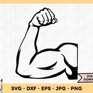 Músculos bíceps SVG Músculos Clip Art Músculos Arquivo de corte Ginásio SVG Silhueta Download digital instantâneo dxf eps png jpg