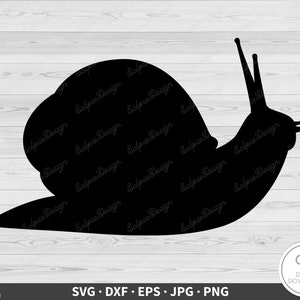 Lumaca SVG Clip Art File di taglio Silhouette Download digitale istantaneo dxf eps png jpg
