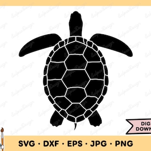 Sea Turtle SVG Clipart PNG (Instant Digital Download) image 1