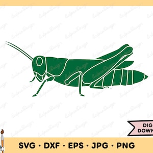 Grasshopper SVG Grasshopper PNG Grasshopper Clip Art Cut File Silhouette Instant Digital Download