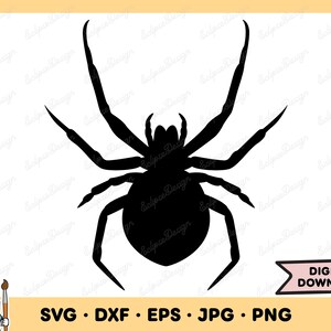 Spider SVG Spider PNG Arachnid Clip Art Cut File Silhouette Instant Digital Download