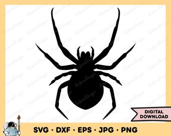 Spider Arachnid SVG Clipart PNG (Instant Digital Download)