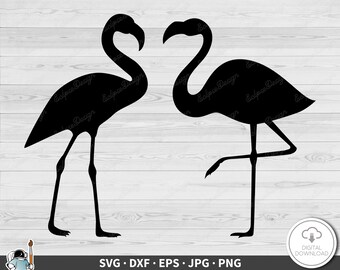 Imagem vetorial PNG de flamingo tropical em formato SVG (Download digital instantâneo)