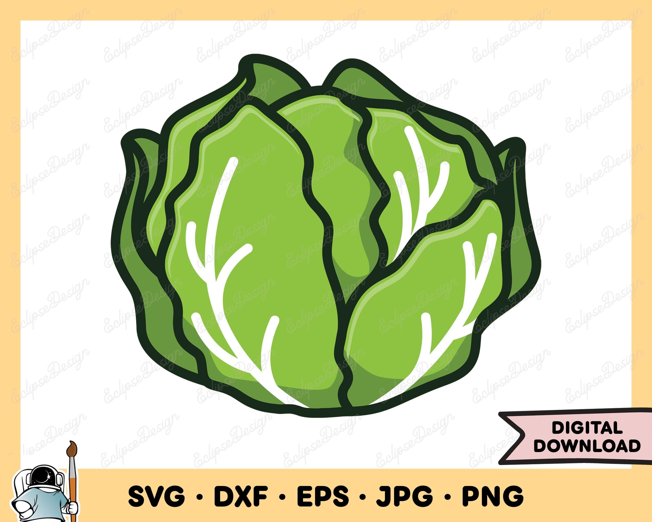 Lettuce Head SVG Lettuce PNG Lettuce SVG Lettuce Clip Art Cut File Silhouette Instant Digital Download