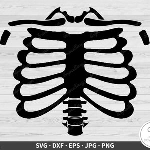 Skelett Knochen Torso Rippen SVG Clip Art Cut Datei Silhouette Sofortiger digitaler Download