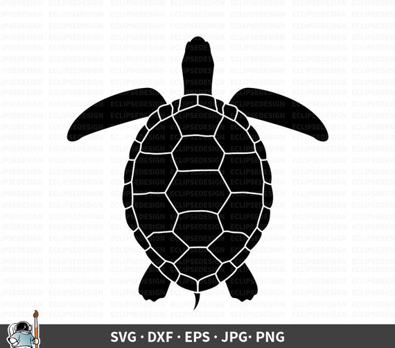 Download Sea Turtle Svg Turtle Vector Turtle Clipart Turtle Cricut Etsy