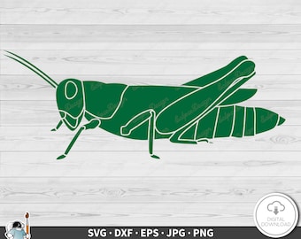 Grasshopper SVG • Clip Art Cut File Silhouette dxf eps png jpg • Instant Digital Download