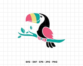 Tucán, ave tropical, imágenes prediseñadas SVG y PNG para Cricut y Silhouette (descarga digital instantánea)
