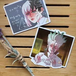 Könnte beinhalten: Zwei Aufkleber im Anime-Stil. Einer zeigt einen Charakter mit weißem und schwarzem Haar, mit mathematischen Gleichungen im Hintergrund. Der andere zeigt einen Charakter mit grünen Haaren und dem Wort "SCIENCE".