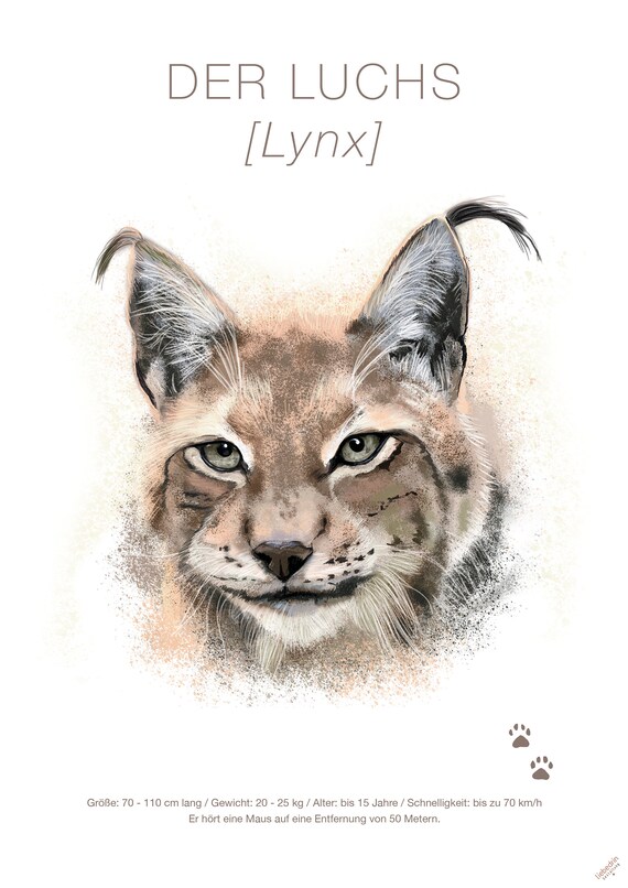 Lynx Poster In Din A3 Artistic Ally And Graphic At The Same Etsy