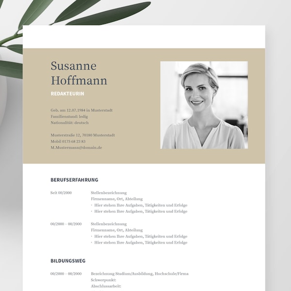 Cv Template Libreoffice Etsy