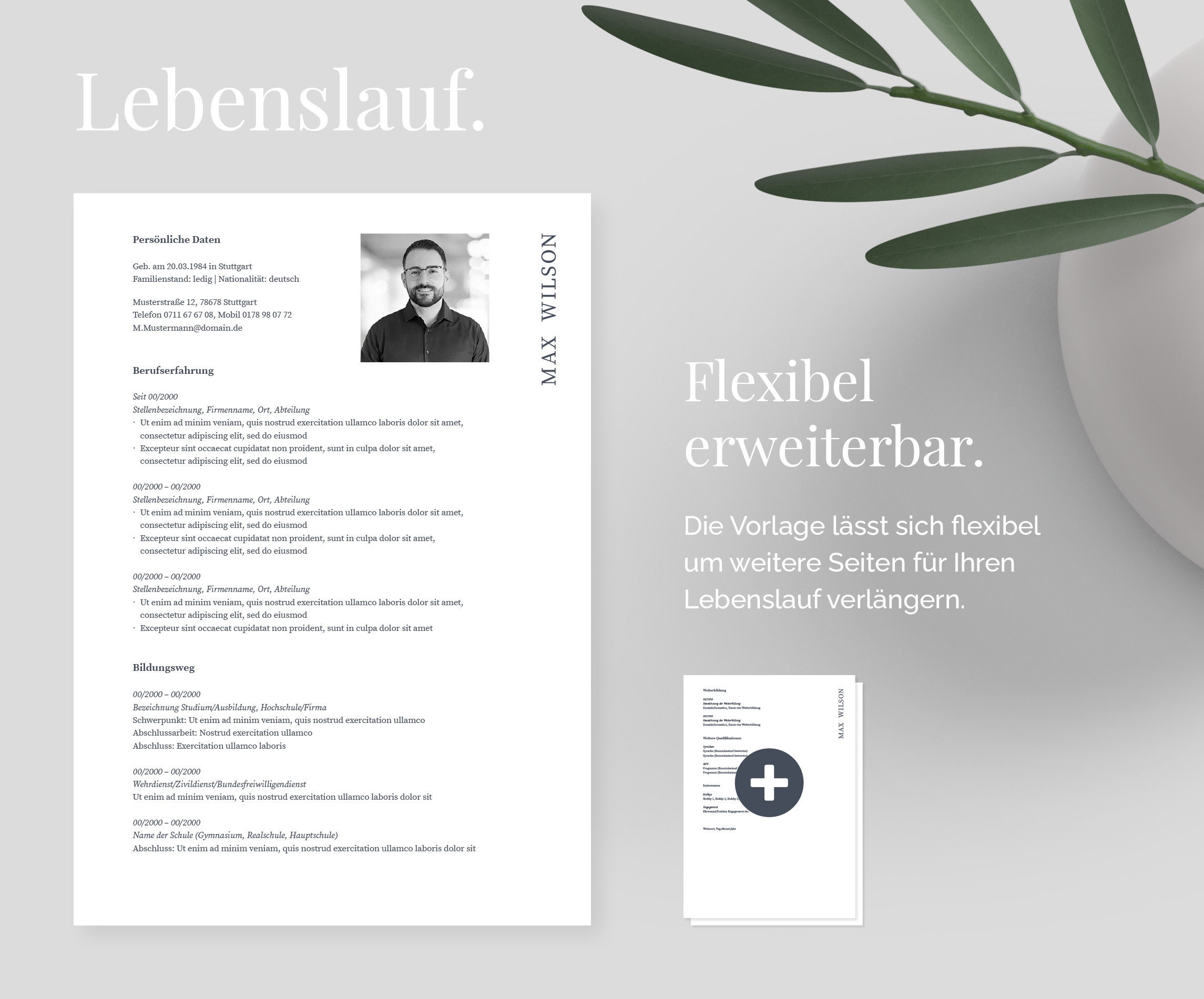 German | Application Templates Cv Template | | Ebook With Videos