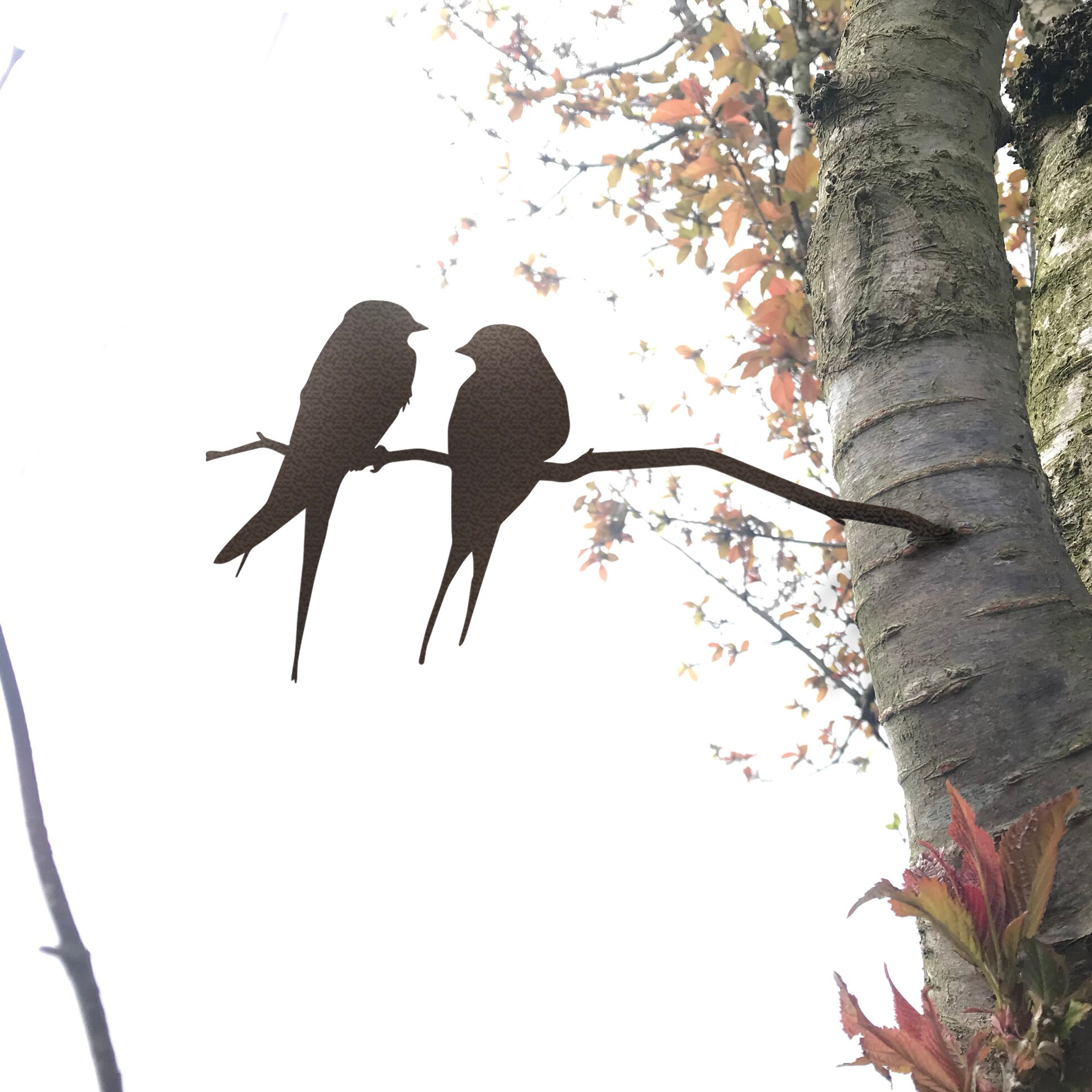 Metal Birds On A Branch - Love Rusty/Rustic Or Powder Coated Black Livraison Gratuite