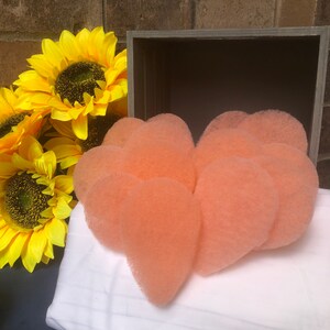 Exfoliating Scrub Pad