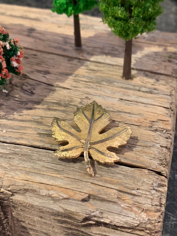 Vintage gold tone maple leaf brooch , vintage , vi