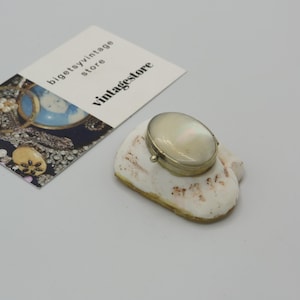 May include: A small, oval-shaped, mother-of-pearl trinket box with a gold-toned metal rim. The box is sitting on a white seashell.