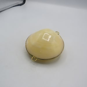 incredibile borsa vintage a forma di conchiglia con accessori in ottone, pezzo di qualità eccellente, arredamento vintage, ottime condizioni, diametro 8 cm, arredamento per la casa
