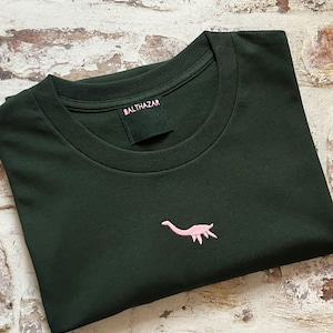 Embroidered Miniature dinosaur t-shirt - customise your dinosaur - cute t-shirt