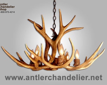 May include: A chandelier made from antlers with six light bulbs. The chandelier is hanging from a chain. The antlers are a natural brown color. The chandelier is a rustic and unique piece of home decor.