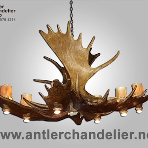 MOOSEPL-8 Real Antler Moose Pool Table Chandelier