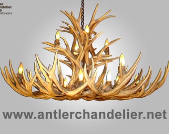 May include: A large antler chandelier with multiple light bulbs. The chandelier is made of natural antlers and has a rustic, elegant design. The website address www.antlerchandelier.net is displayed below the chandelier.