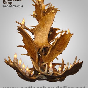 MOOSECASCADEINV Real Antler Moose Cascade Chandelier