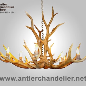 ELKSNGLREAL Real Antler 12 Light Elk Chandelier