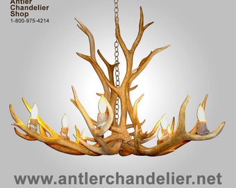 ELKSNGLREAL Real Antler 12 Light Elk Chandelier