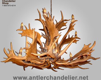 May include: A large antler chandelier with multiple branches and candle-style light bulbs. The chandelier is made of natural antlers and has a rustic, elegant look.  www.antlerchandelier.net