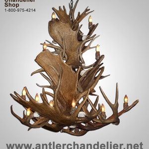 MOOSEMDCASC Real Antler Moose / Mule Deer Combo Chandelier