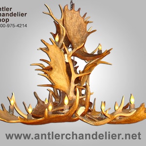 MOSELKCASC Real Antler Moose / Elk Cascade Chandelier