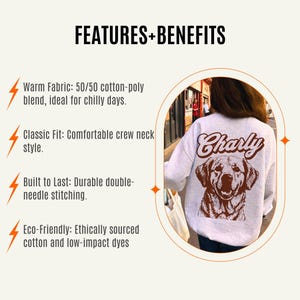 May include: A light gray sweatshirt with a brown dog illustration and the name "Charly" printed in brown on the back. The sweatshirt features a crew neck and a comfortable fit.