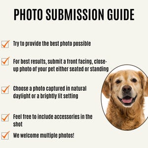 May include: A checklist with five points for submitting photos of pets. The checklist includes instructions to provide the best possible photo, submit a front-facing photo of the pet, choose a photo taken in natural daylight, feel free to include accessories, and welcome multiple photos. The checklist is illustrated with a photo of a golden retriever.