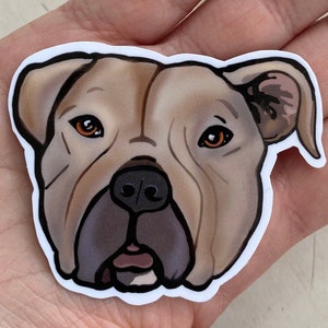 Pitbull Dog Decal, waterproof sticker, illustration, decorative, journal, planner stickers, computers, water bottle