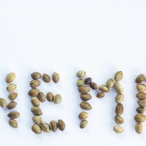 May include: The word "HEMP" spelled out using hemp seeds on a white background.