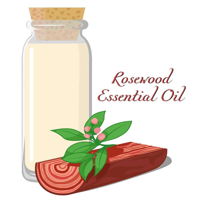 May include: A glass bottle with a cork stopper filled with Rosewood essential oil. A piece of Rosewood with red and brown rings and a green leafy branch with pink berries is next to the bottle. The text "Rosewood Essential Oil" is written in cursive.