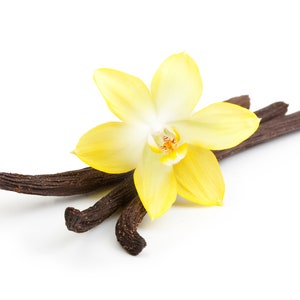 May include: A single yellow vanilla orchid flower with three brown vanilla beans.