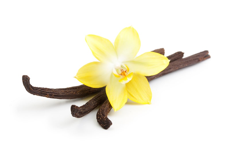 May include: A single yellow vanilla orchid flower with three brown vanilla beans.