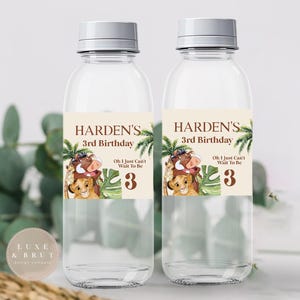 May include: Two clear plastic water bottles with white caps. Each bottle has a label with the text "HARDEN'S 3rd Birthday" and a cartoon image of characters from The Lion King. The text "Oh I Just Can't Wait To Be 3" is also on the label.