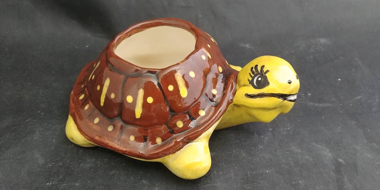 Finished Ceramic Box Turtle Terrapin Small Plant Pot Turtle Etsy