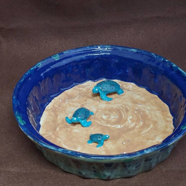 Pet Turtle Bowl Etsy