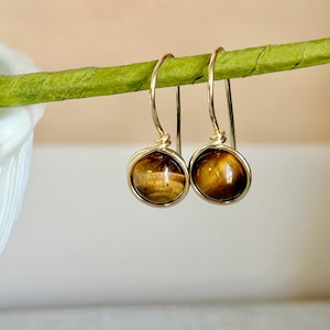 May include: A pair of dangle earrings featuring round, polished tiger's eye gemstones. Each stone is encased in a gold-toned wire wrap setting that forms a circular frame, connected to a simple gold-toned hook for suspension from the ear.