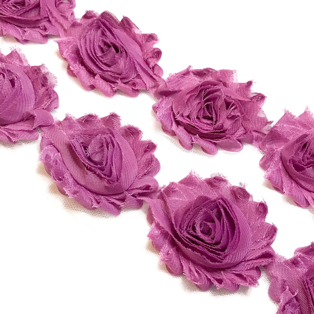 Light Plum 2.5