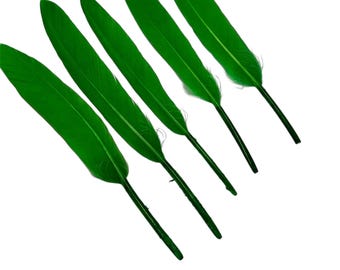 4-6” emerald green dyed goose feathers, for diy hair bow & headband embellishments, real dyed feathers, stiff decorative feathers