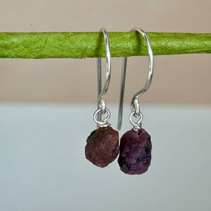 May include: A pair of silver-tone drop earrings with raw, uncut ruby gemstones. The earrings feature a simple hook design and the ruby stones are a deep red-purple color. The earrings are displayed against a green stem.